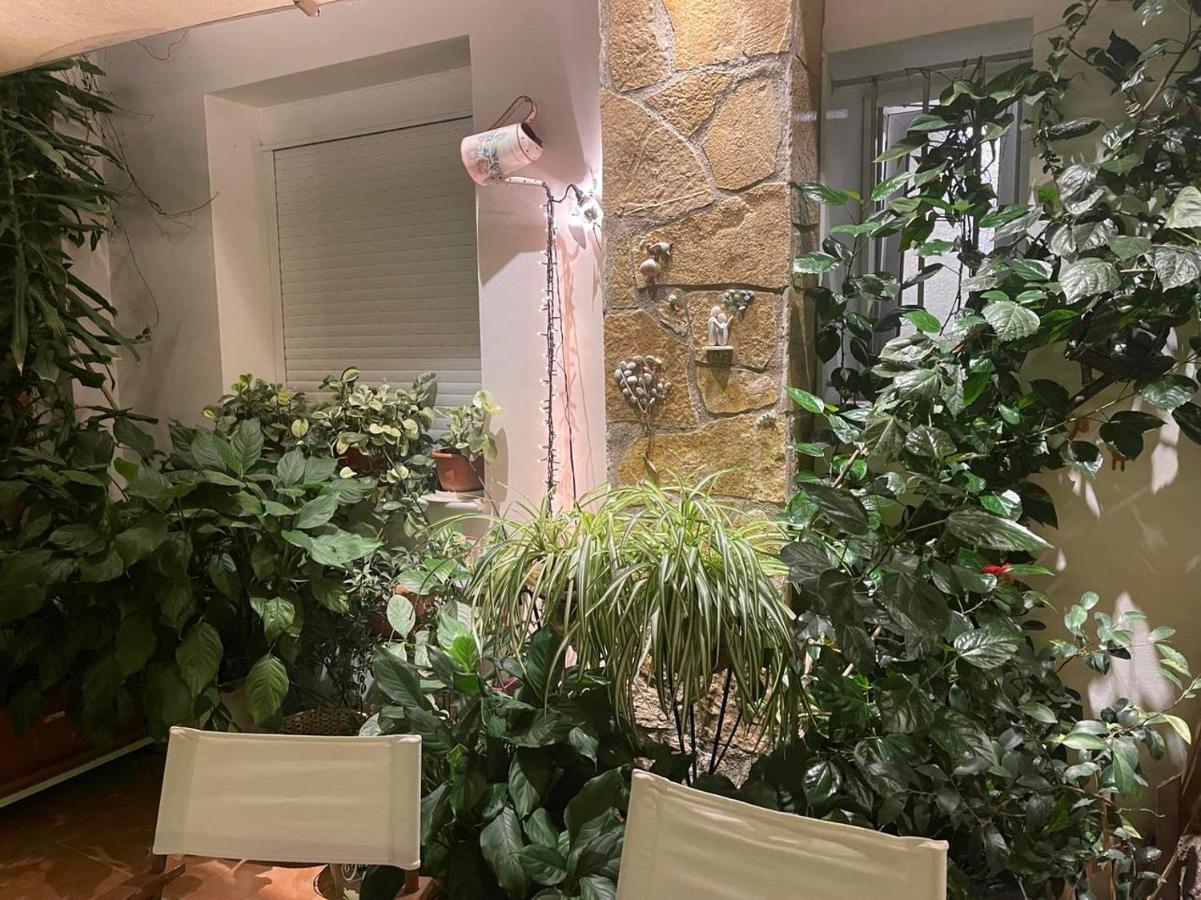 דירות אתונה Eleonora'S Hidden Gem מראה חיצוני תמונה