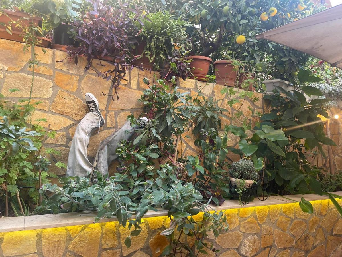 דירות אתונה Eleonora'S Hidden Gem מראה חיצוני תמונה